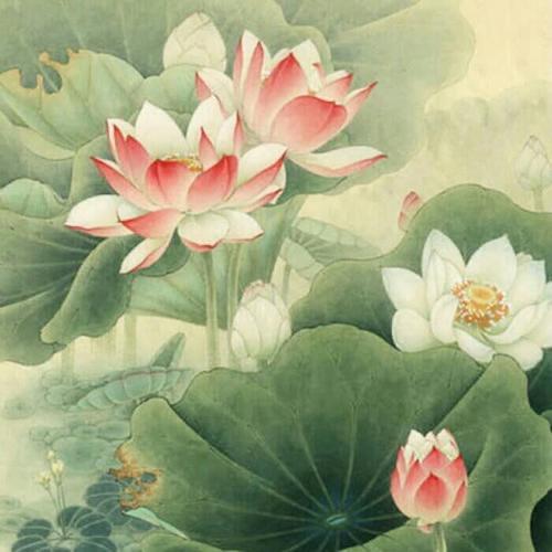 河北速娇商贸有限公司