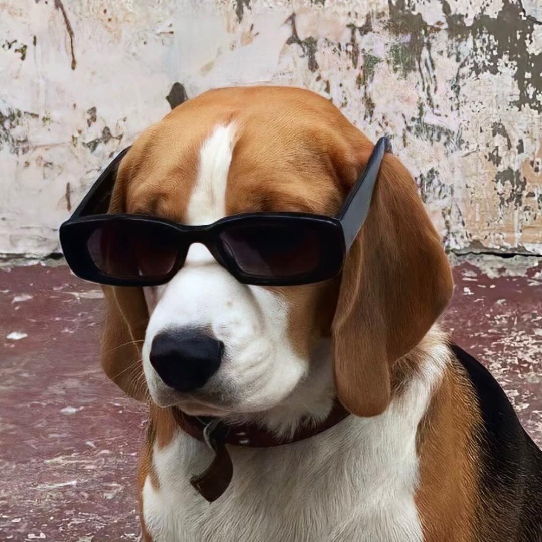 差了一点东风🍇