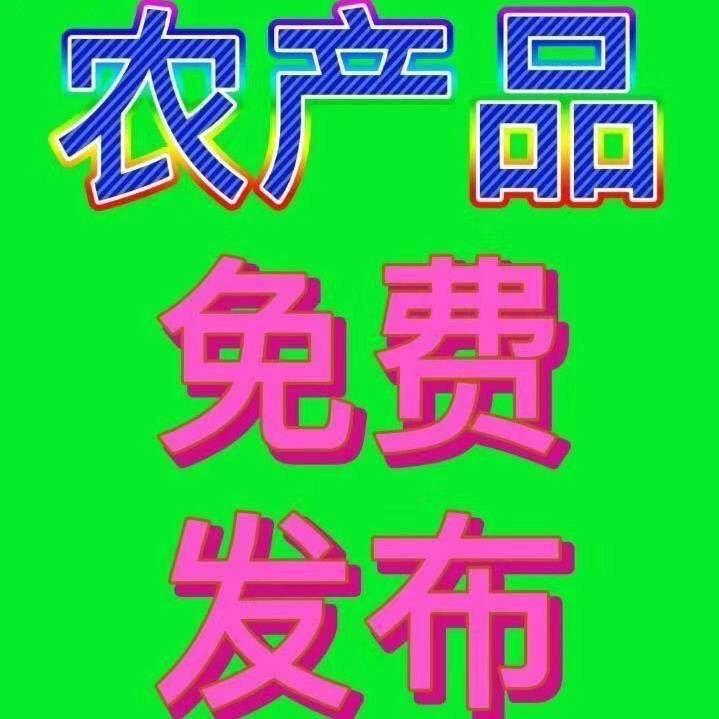 阿凯果品🍊对接各种渠道