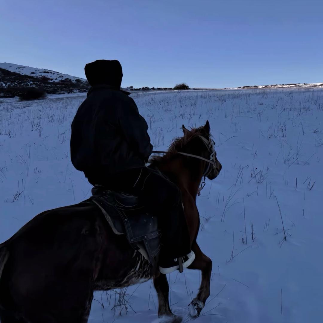 广东中山二手车批发部 13