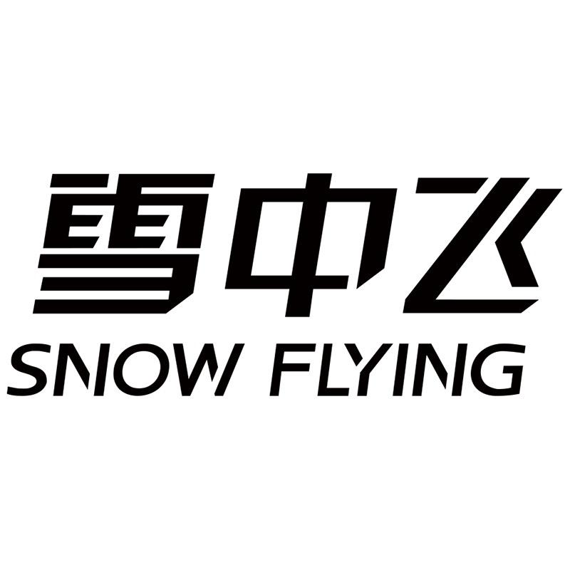 雪中飞蒂莎专卖店羽绒服