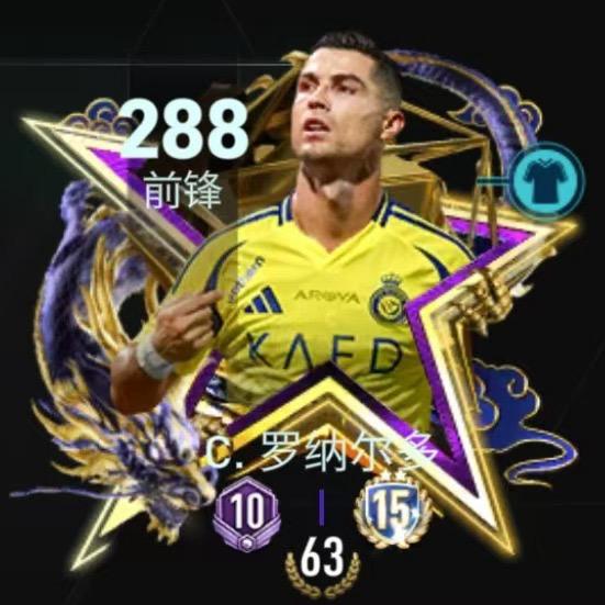 FC-金边罗