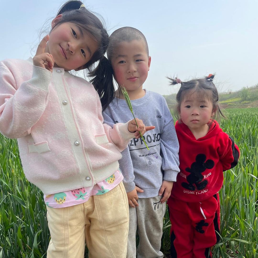 一枕梦星河
