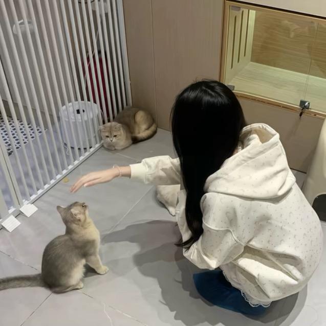 李什么涵