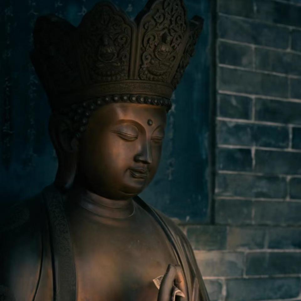 拍拍收藏