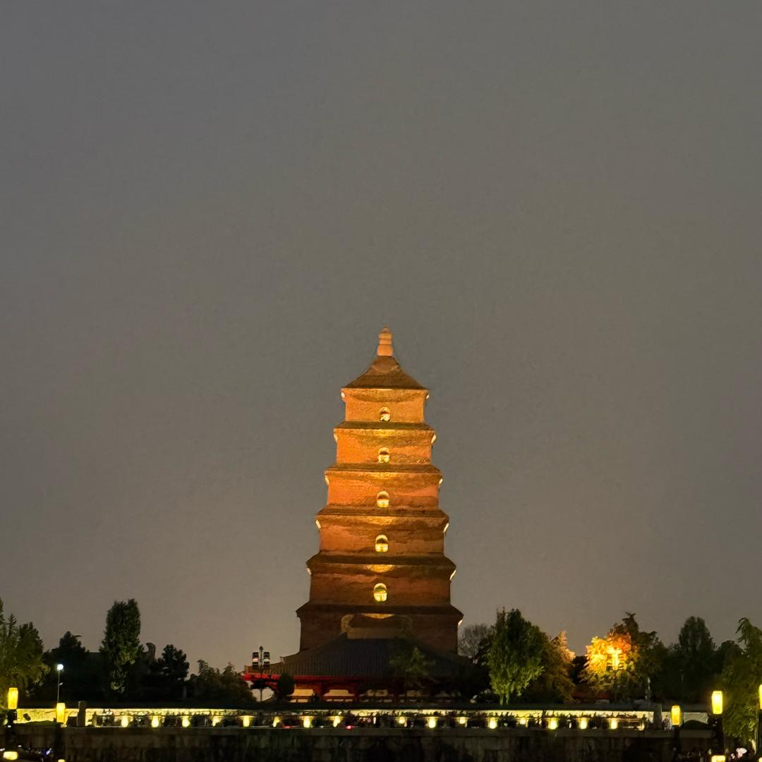 蟒火龙
