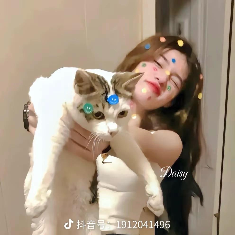 傻🐷🐷