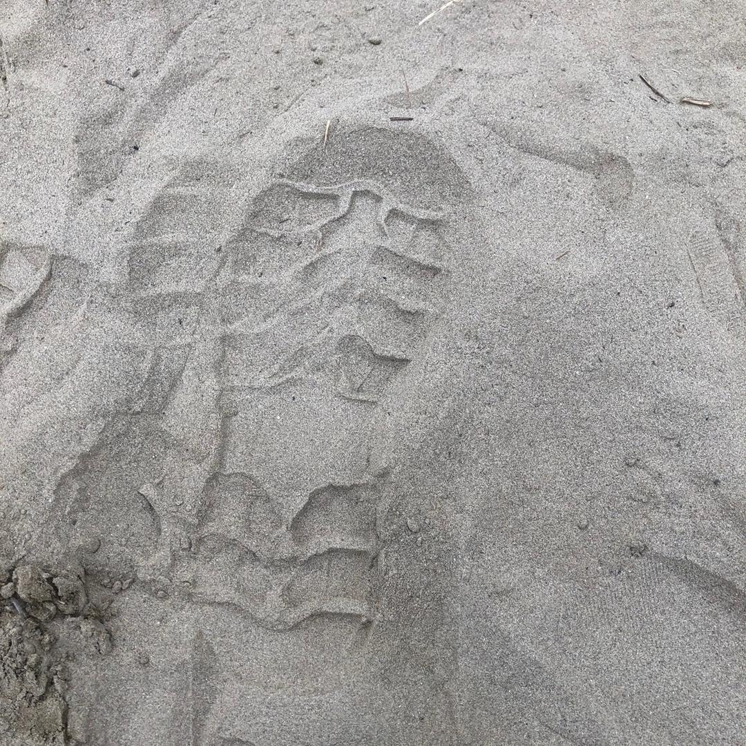 麦田