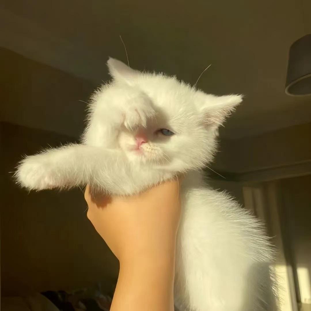 走～散