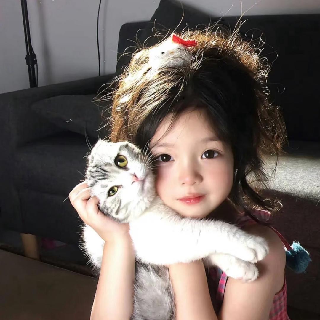 Ö椰.