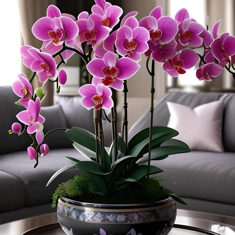 ღ᭄ꦿ꯭DRঞৣ