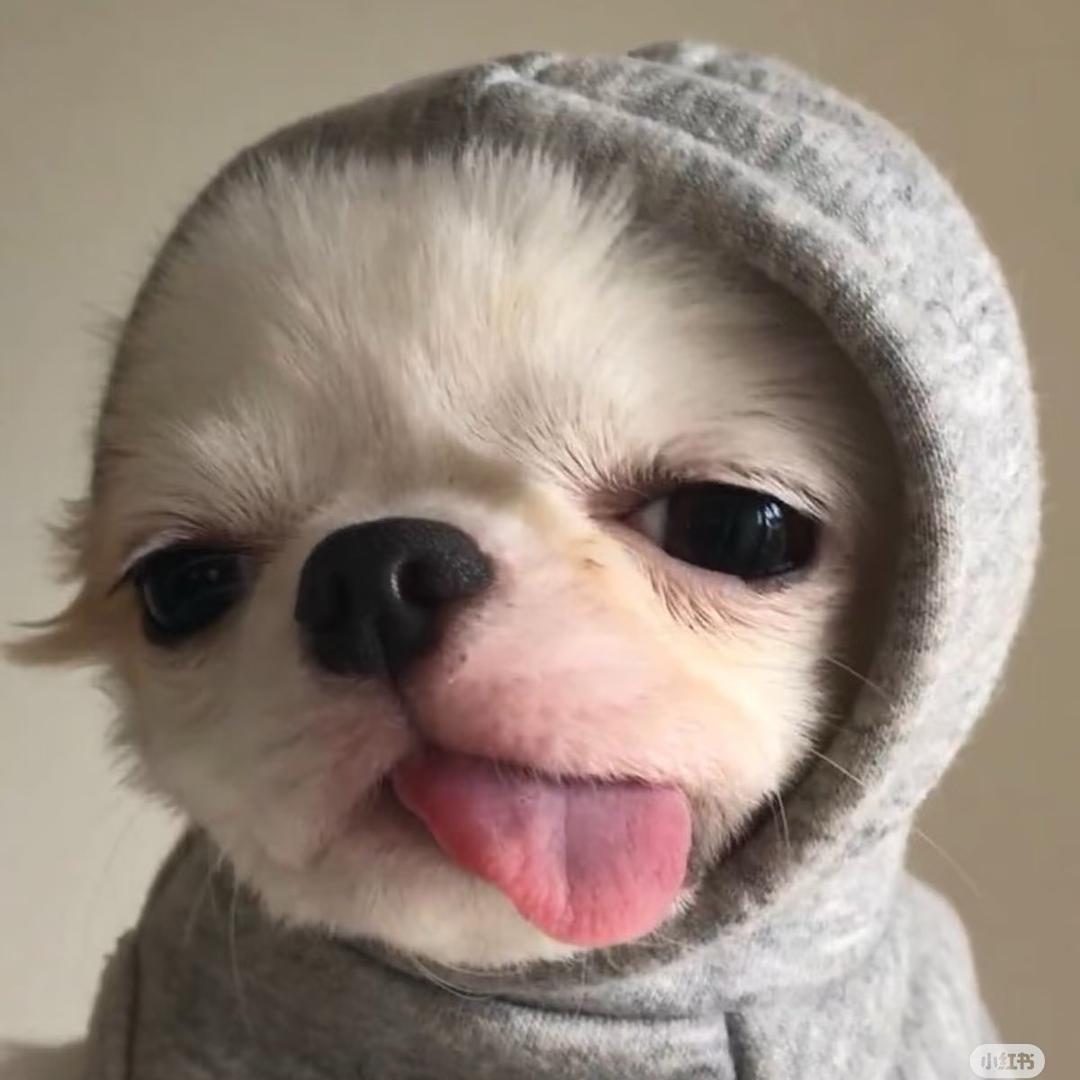 guagua