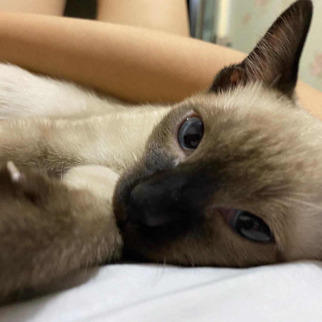 等等-
