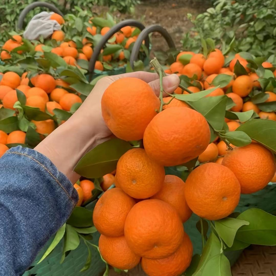 暴富