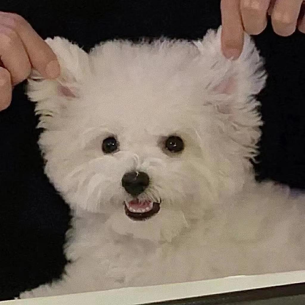 板烧鸡腿堡