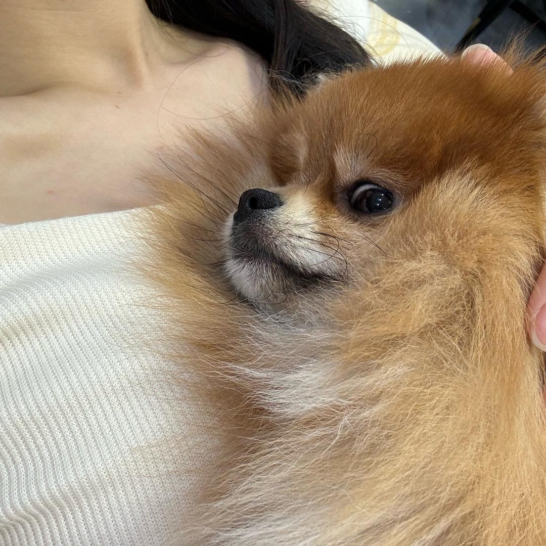 泡泡怡