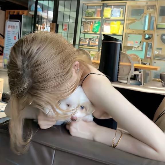 会不慧慧慧H💤