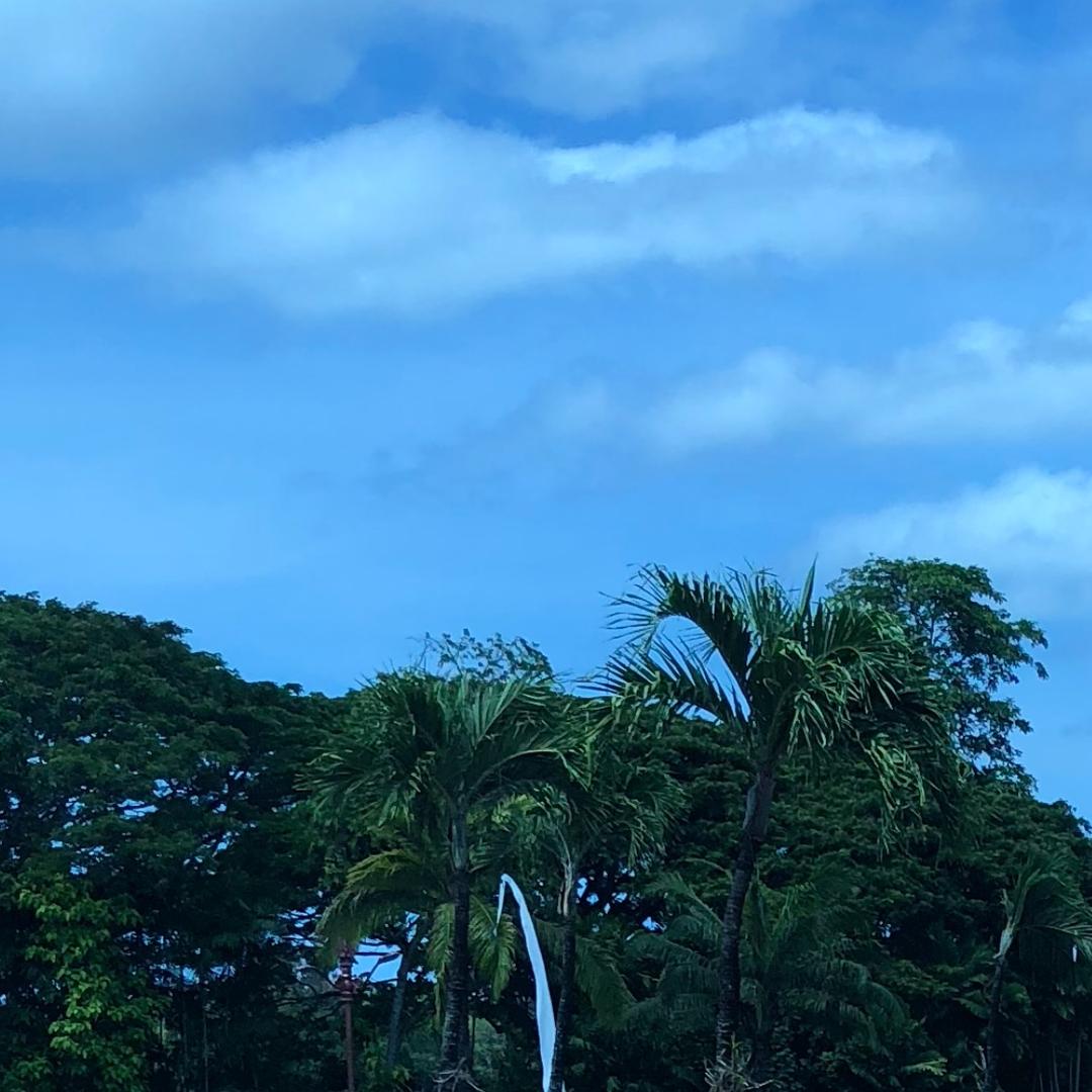 康恩（海南）集团管理有限公司
