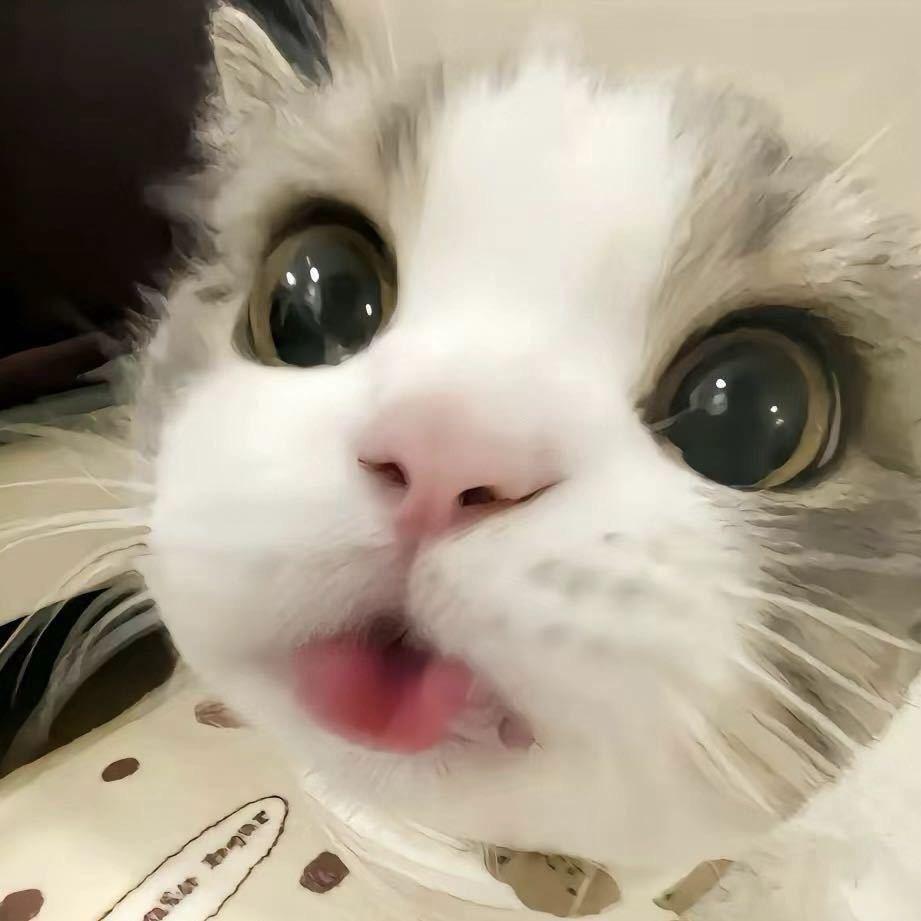 秋星