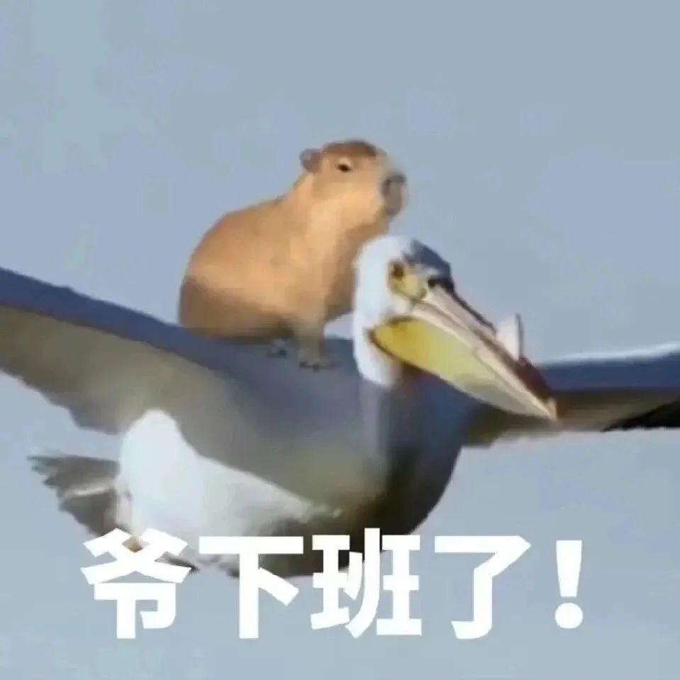 吉祥止止！