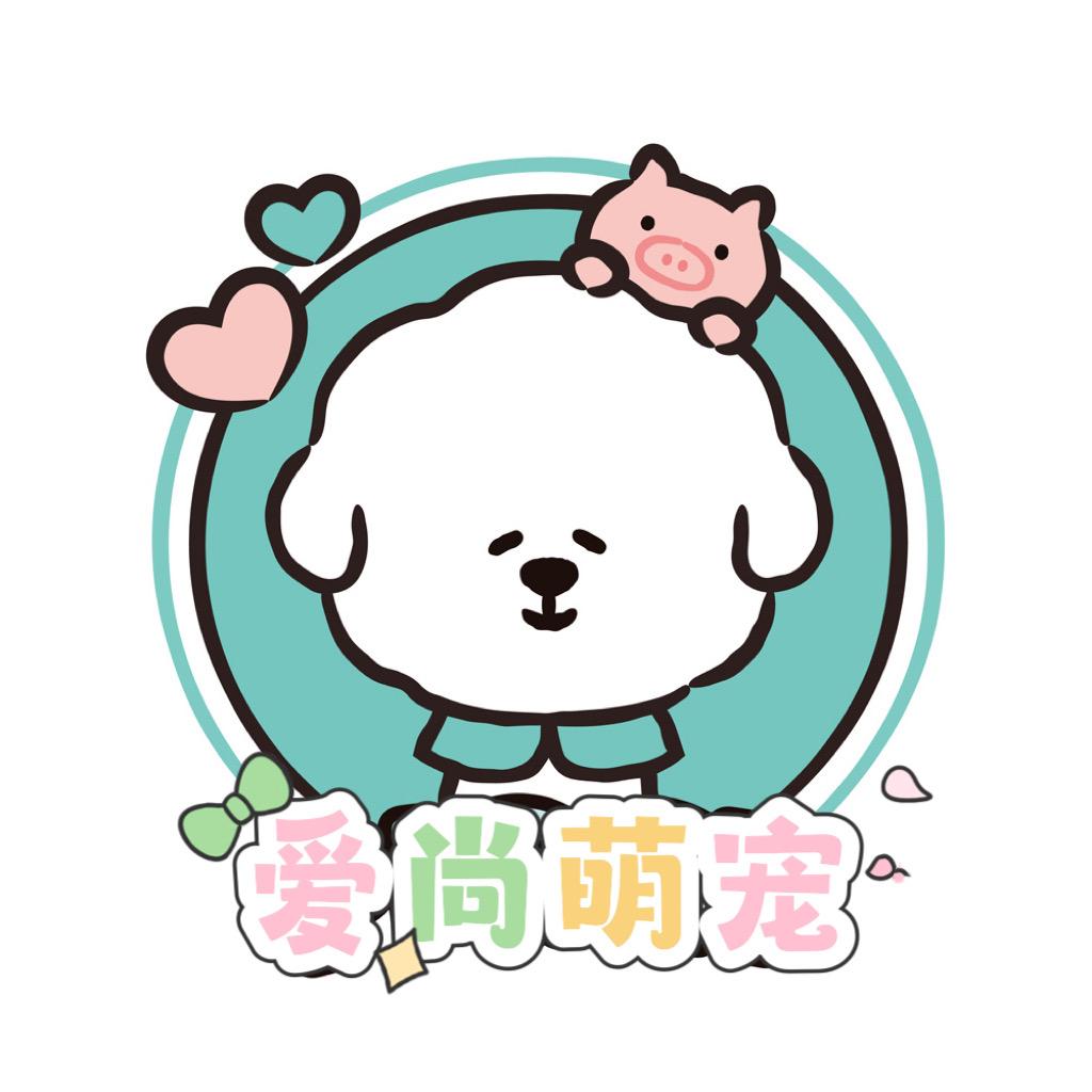 云熙犬业-韩系比熊（卢）