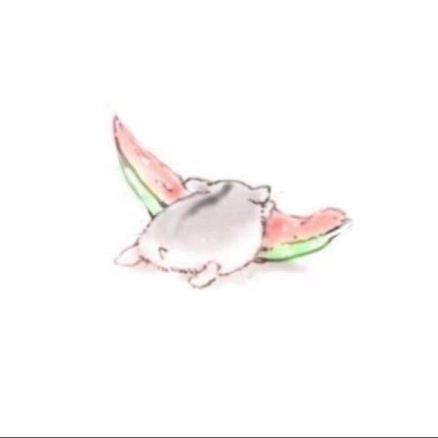 ㅤㅤ︃ ··· 🐹 🍑❓🦭