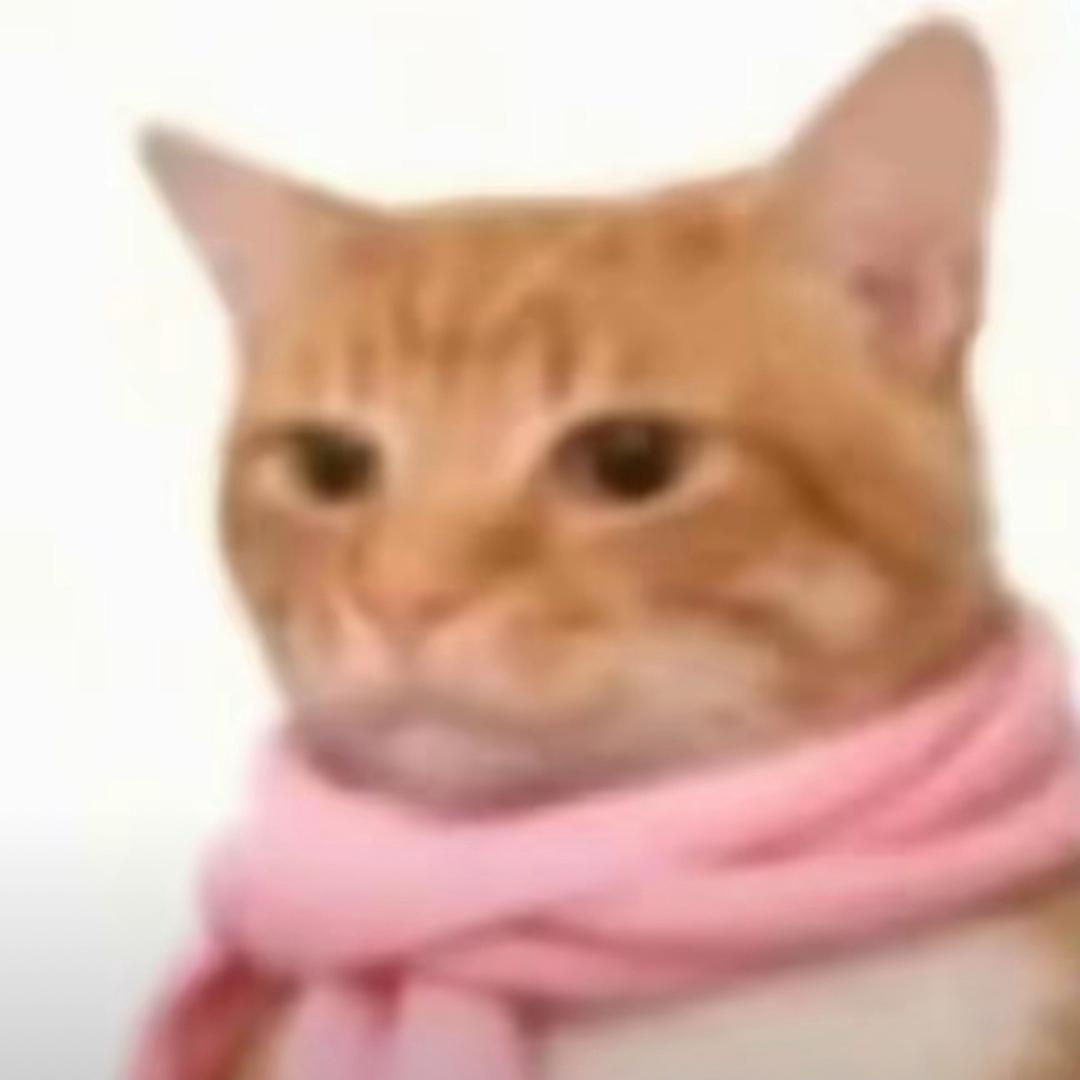 洪小刷
