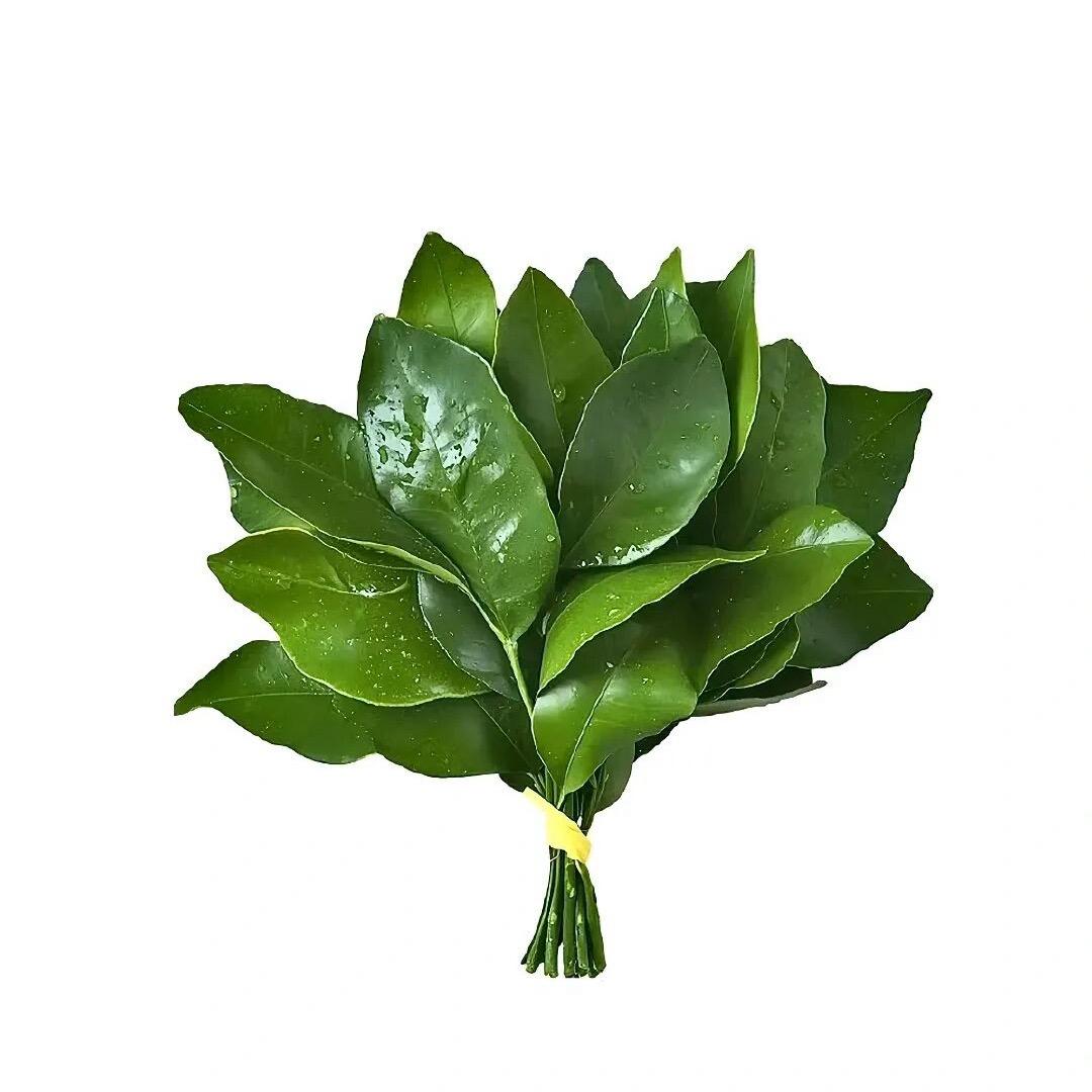 玉子-