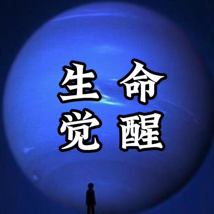 高维智慧🪐