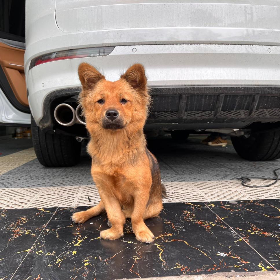 94年的小汪汪🐕