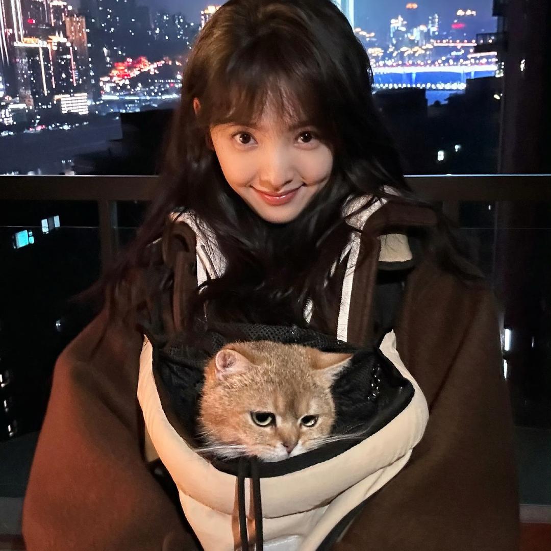 痛恨整个宇宙