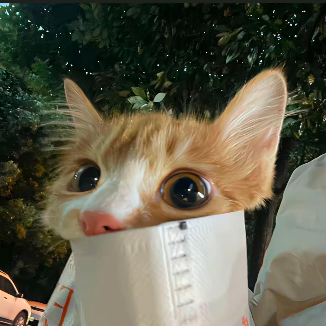 虎皮猫