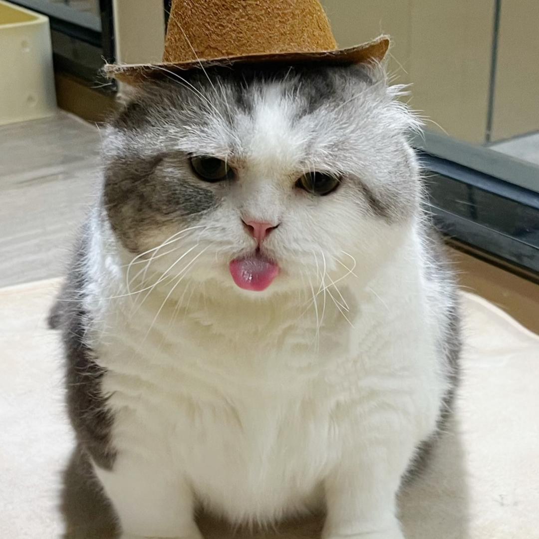 书名号