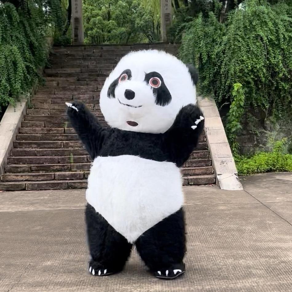 功夫蜘蛛侠