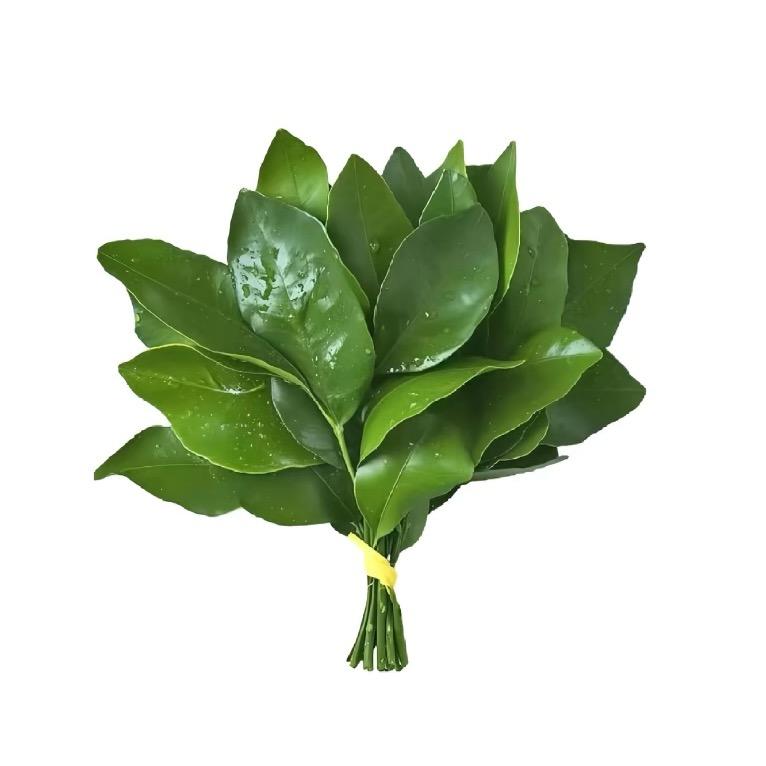起什么