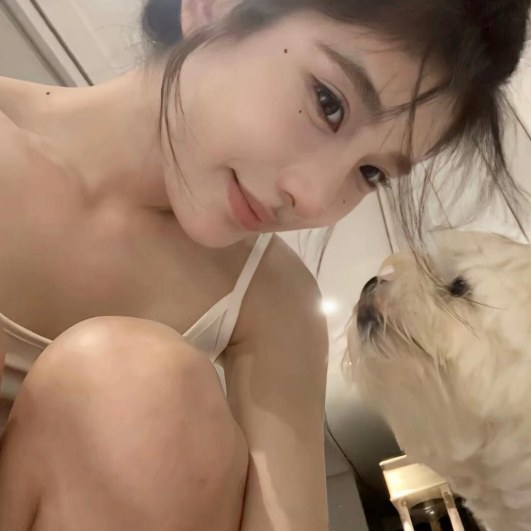 呆呆呆呆呆猪