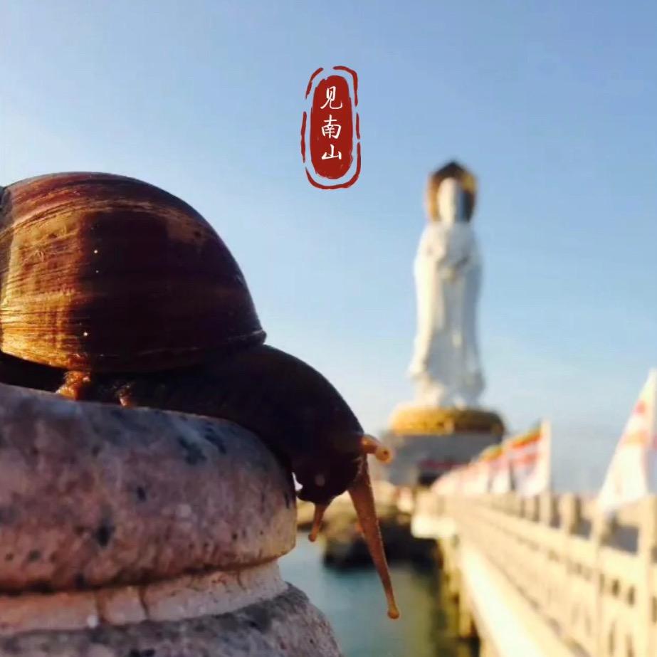 见南山