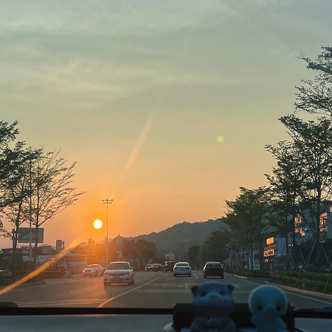 十七🌻