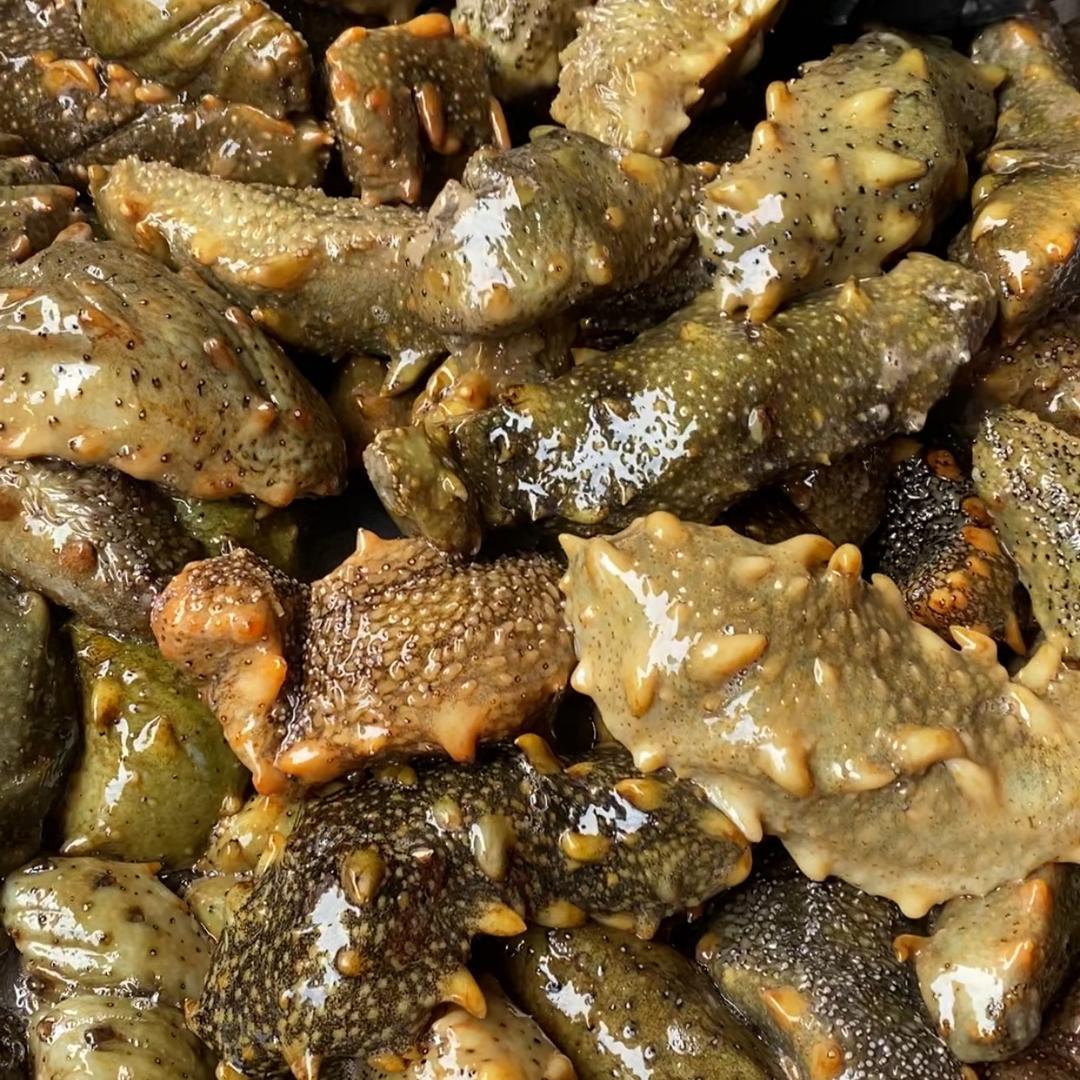 烟台天弘海参源头工厂