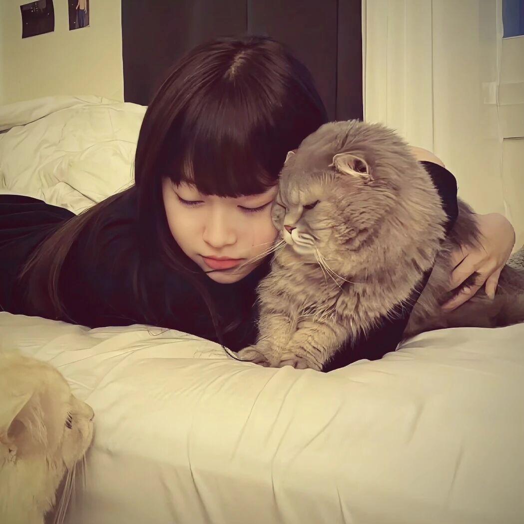 腼腆小美.