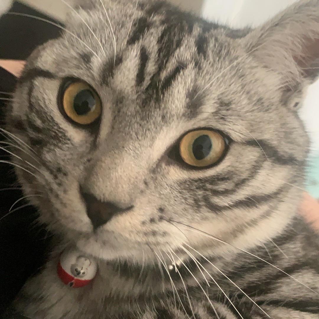 富县外星人电竞酒店