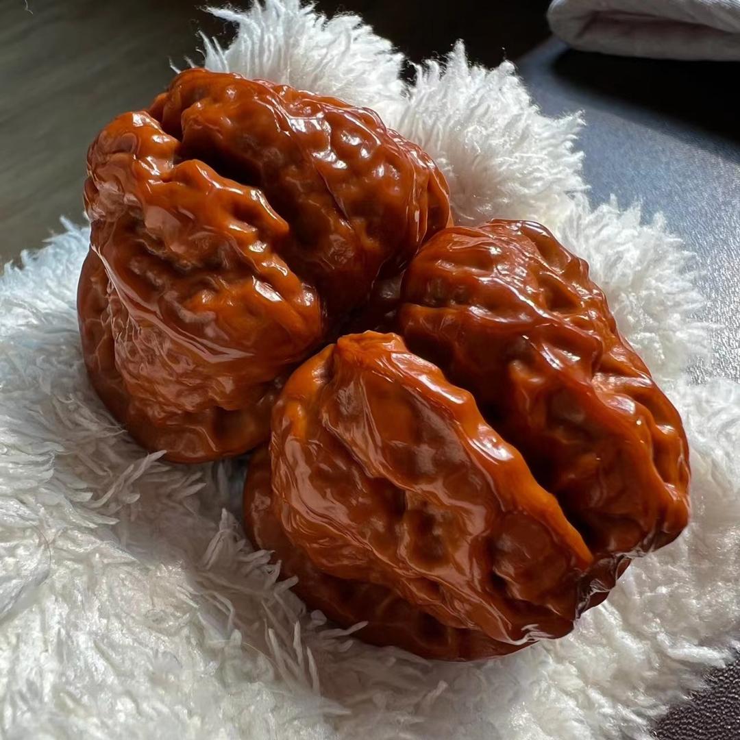 小嫂子核桃团团