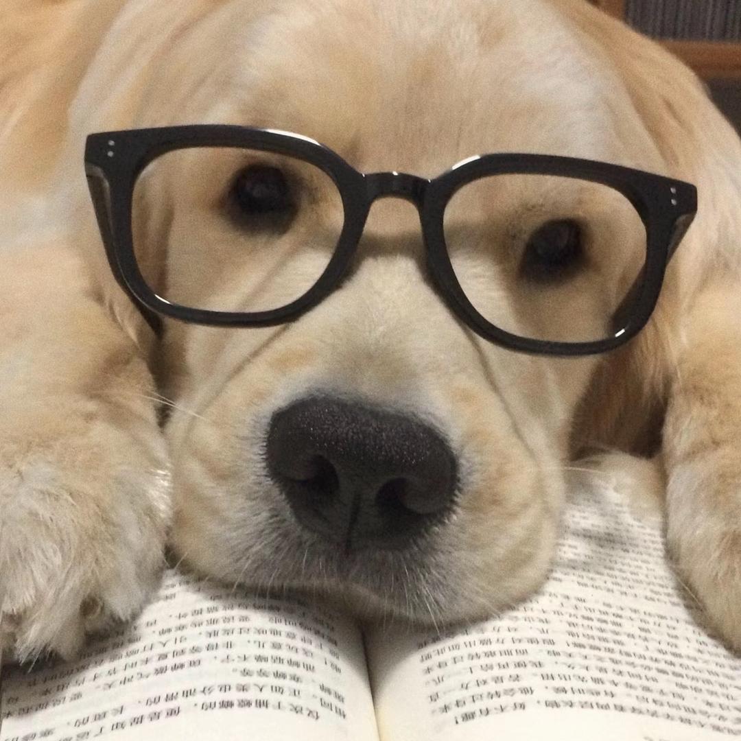 左轱辘不转右轱辘转思密达