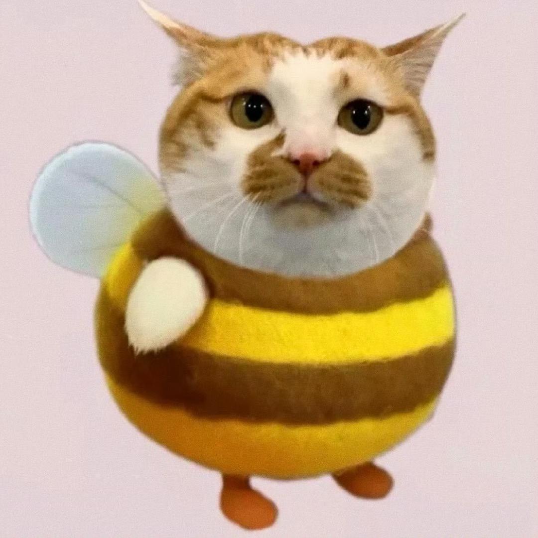 Q_Q