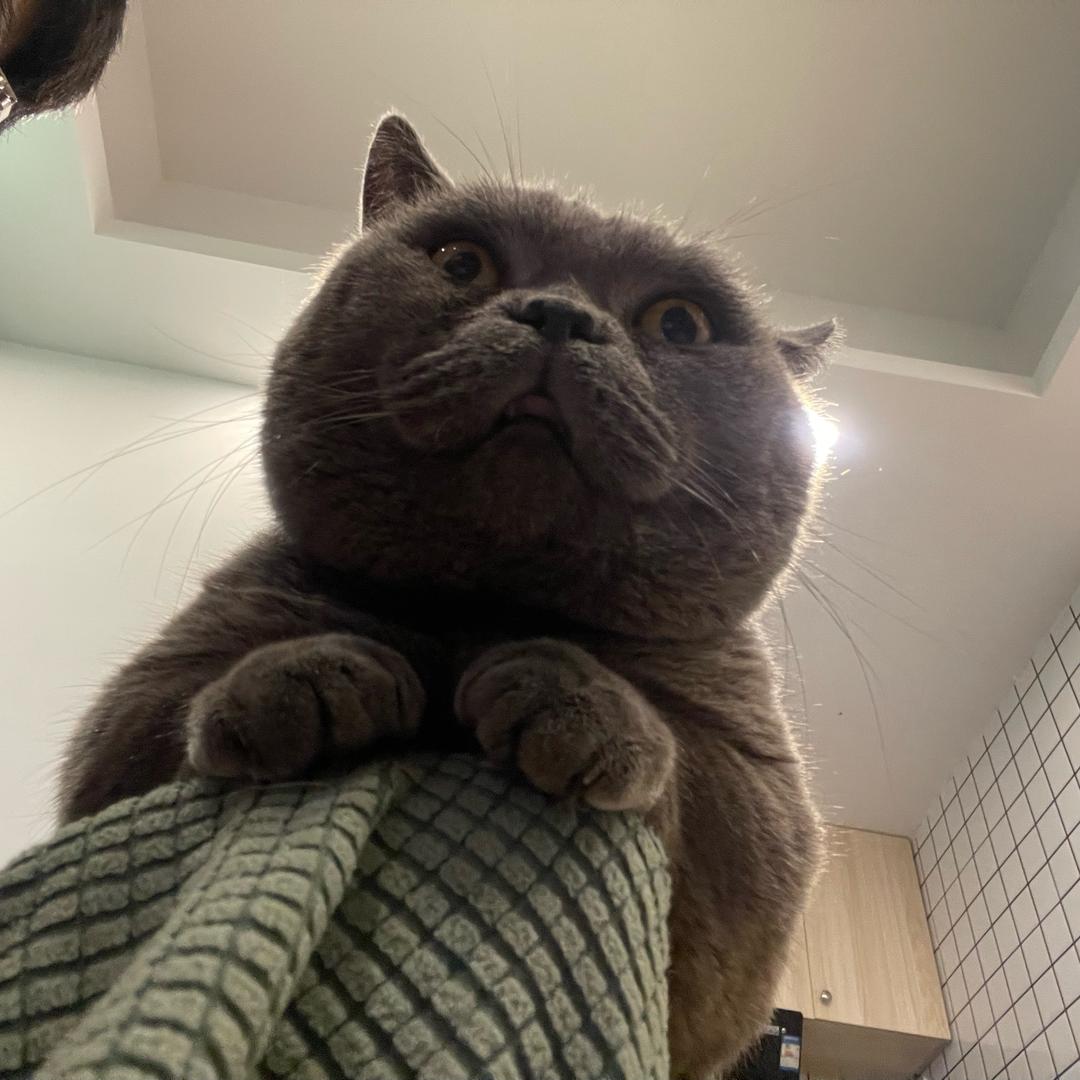 小Xx