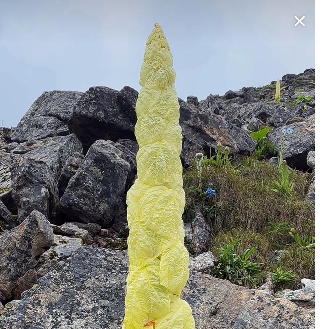 户外自驾游