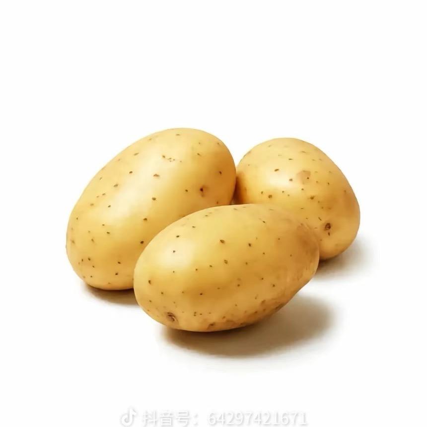 1.55米小土豆🥔