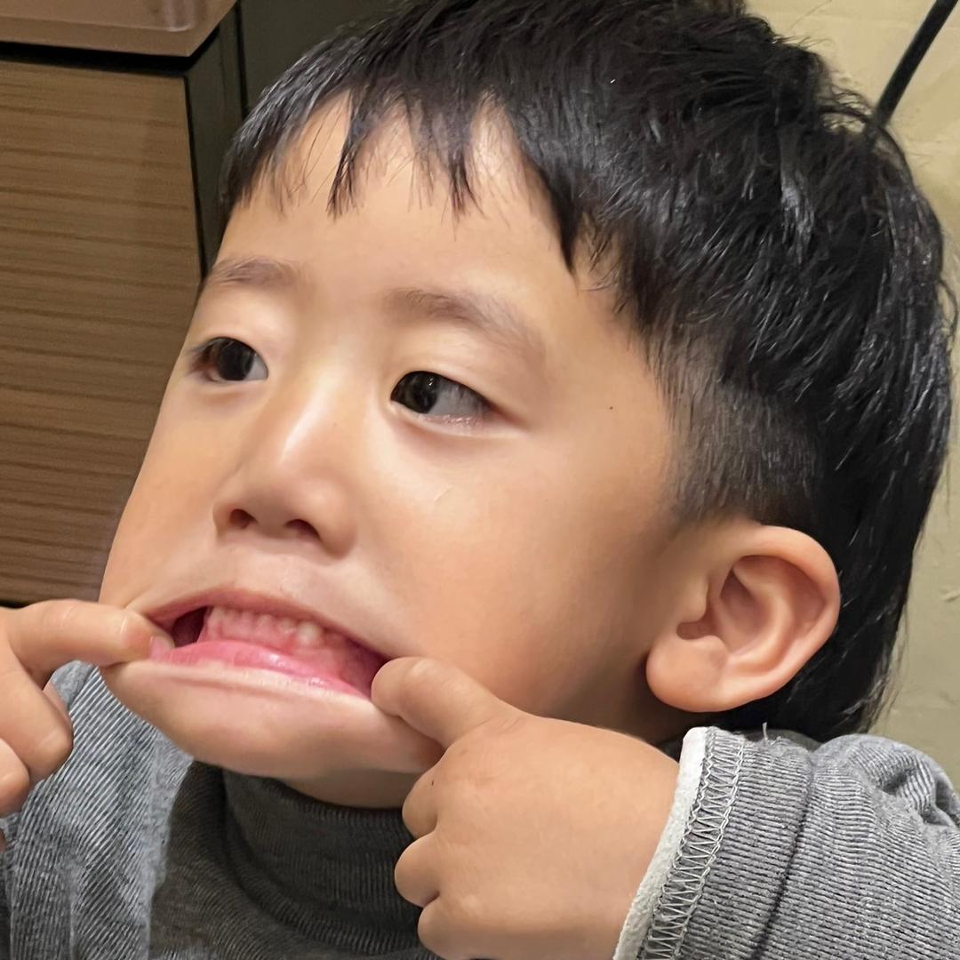 哼哼本哼