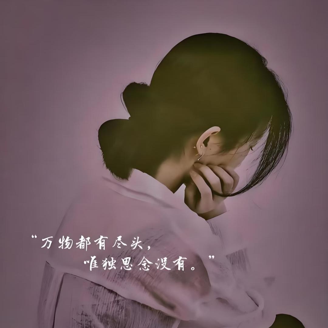 浅浅