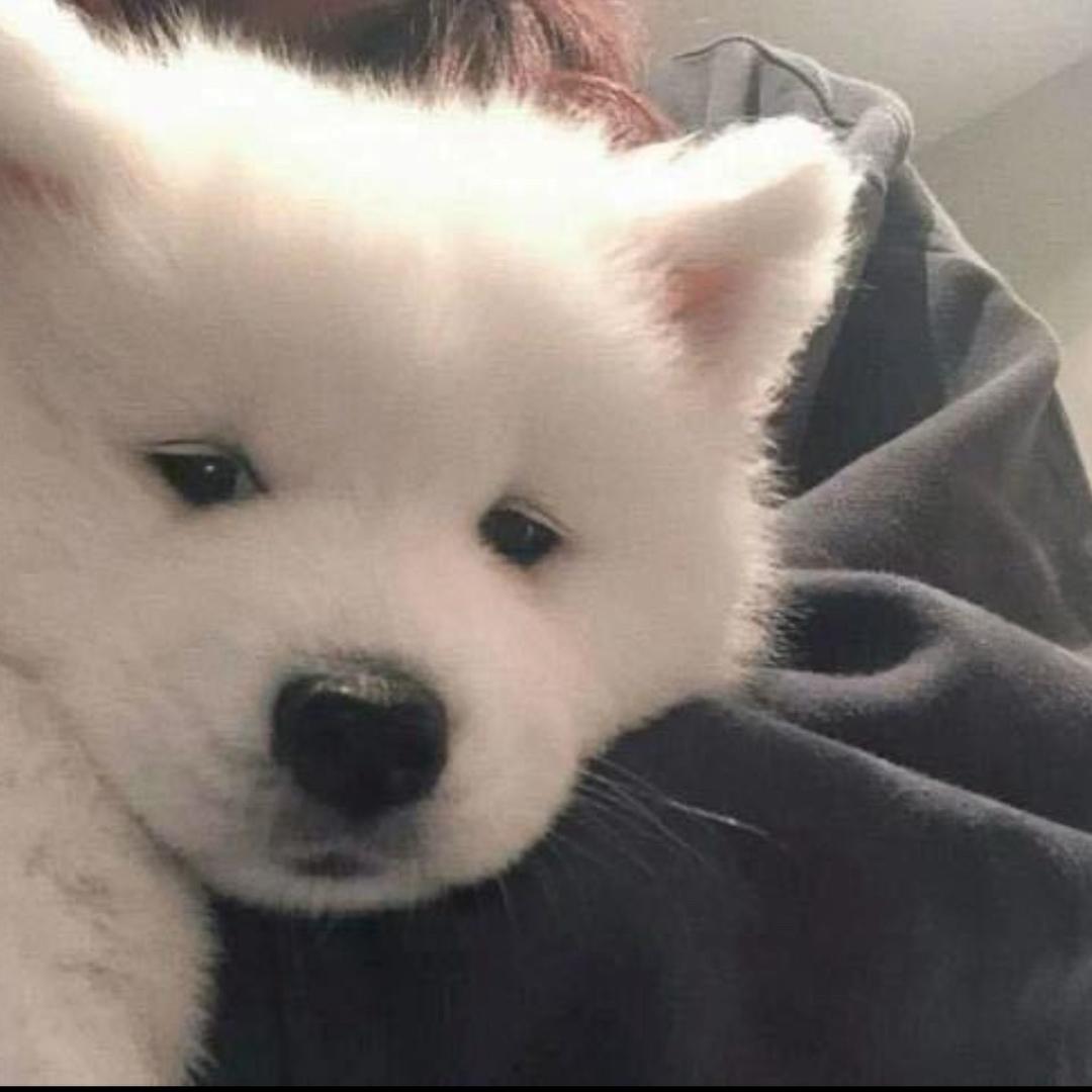 like永存（自律版）